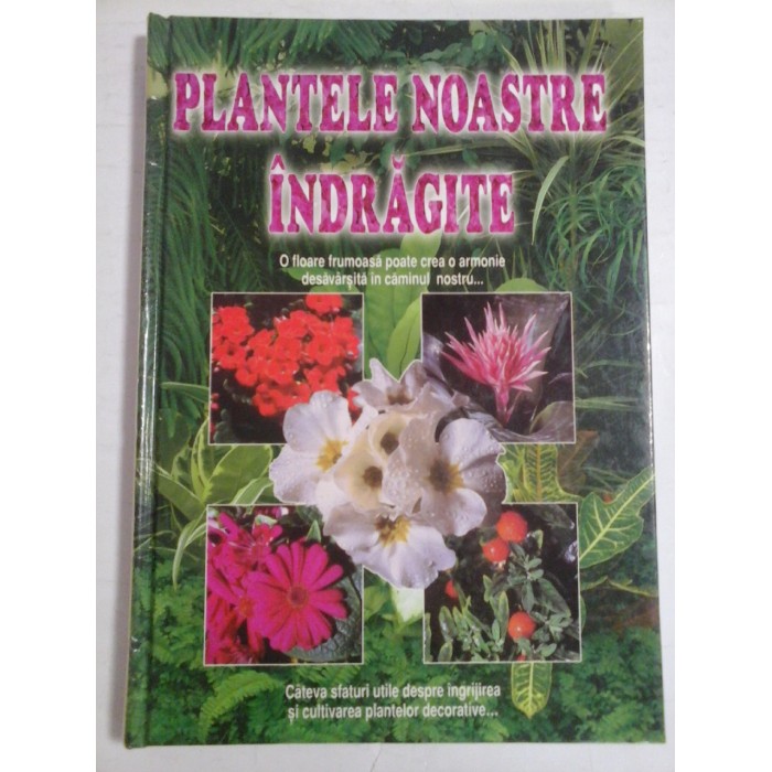 PLANTELE  NOASTRE  INDRAGITE